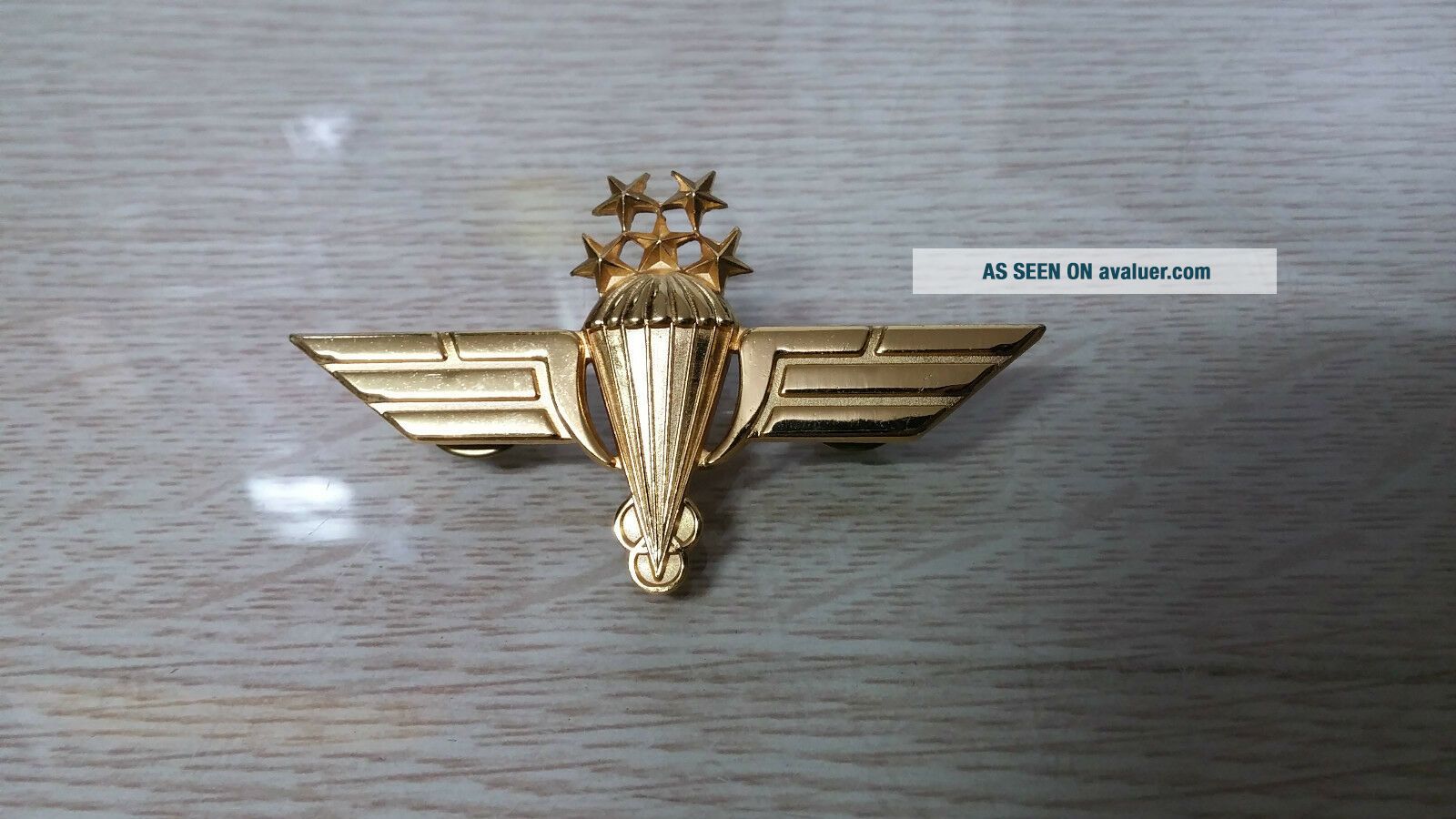 Middle Eastern Military Ranks RARE Unknown Vintage Middle East UAE Army SF Wing Badge Pin Military ...